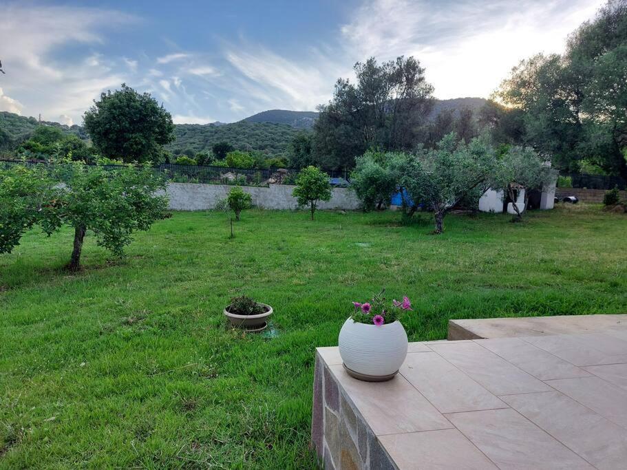 Olbia Grazioso Bilo In Periferia Villa Sole Ruiu Exterior photo